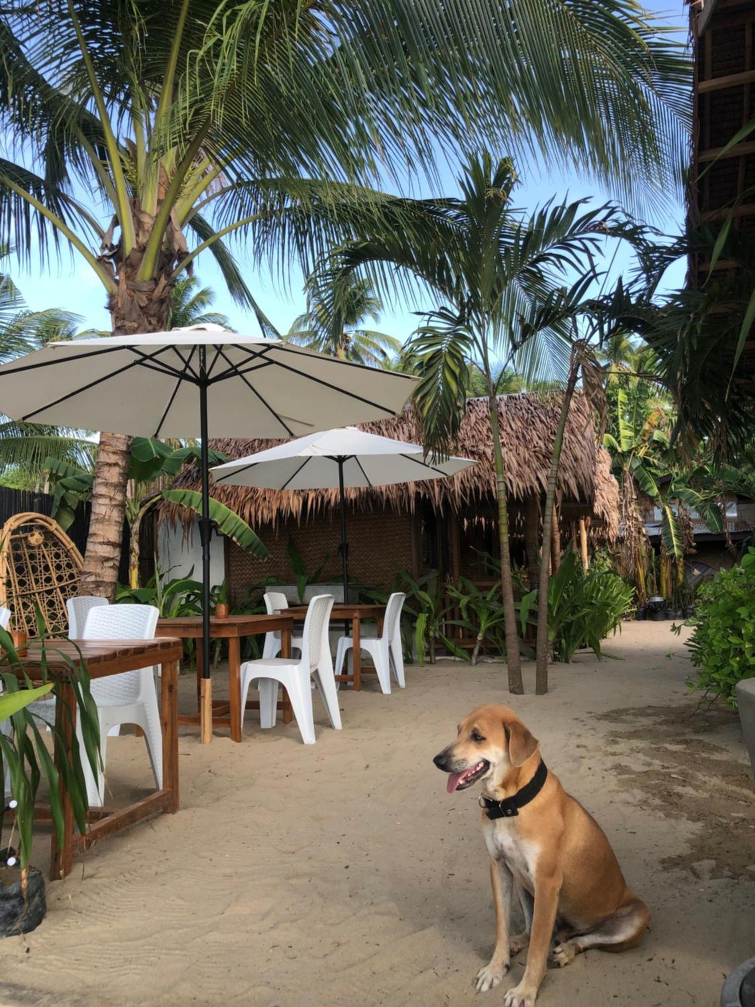 Zhaya'S Beach & Cottages El Nido Kültér fotó