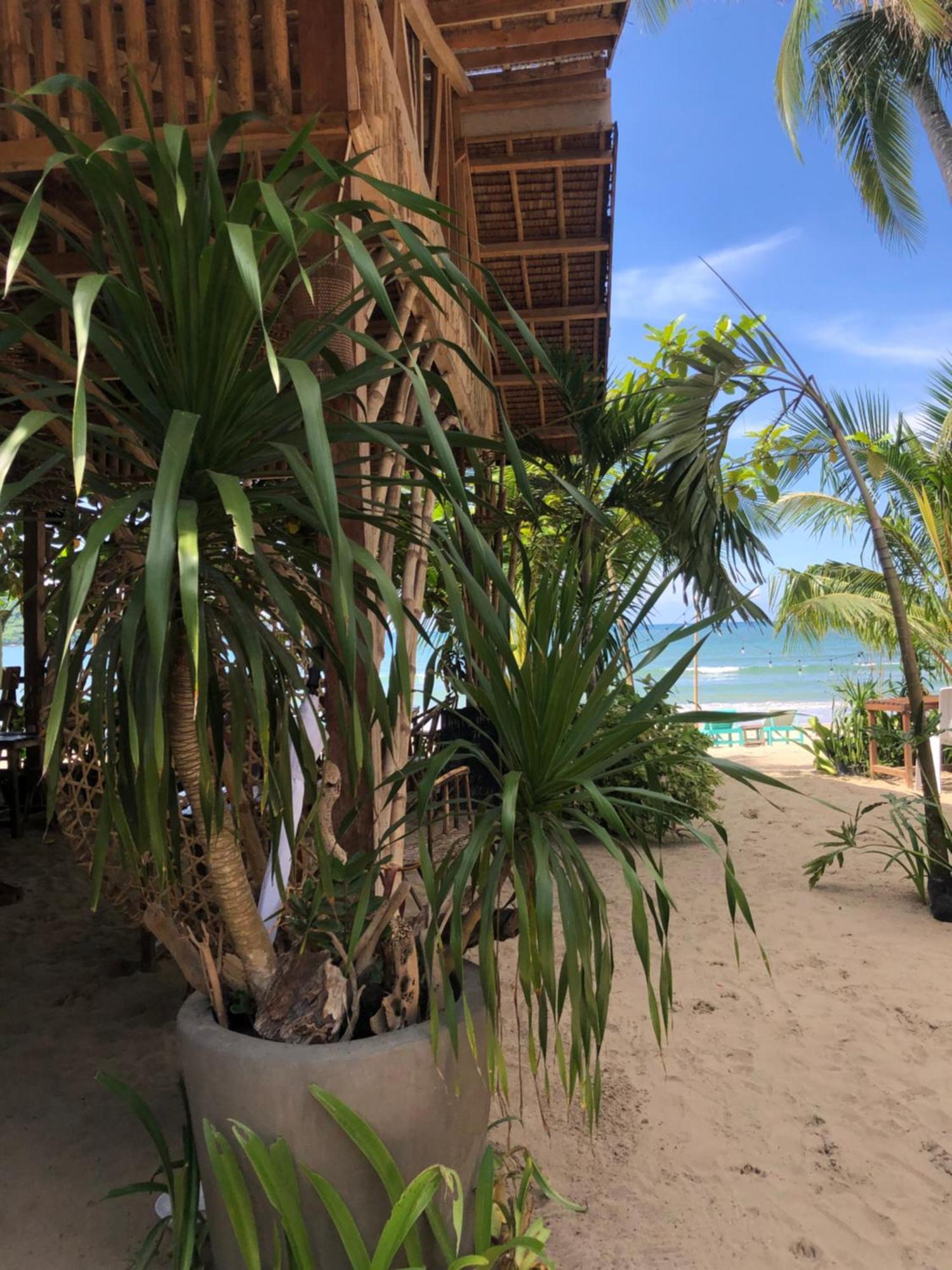 Zhaya'S Beach & Cottages El Nido Kültér fotó